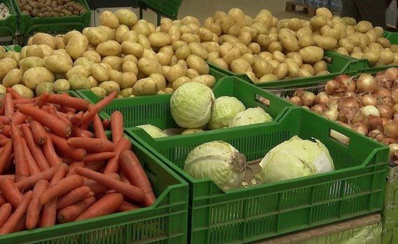 Молдова резко нарастила экспорт овощей - agroexpert.md