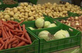 Молдова резко нарастила экспорт овощей - agroexpert.md