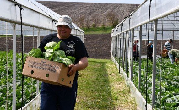 salarii agricultură majoare - AgroExpert.md