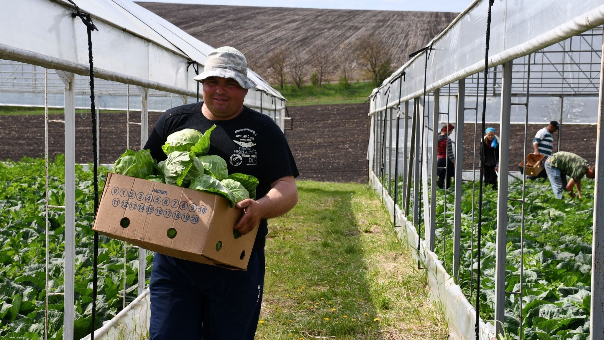 salarii agricultură majoare - AgroExpert.md