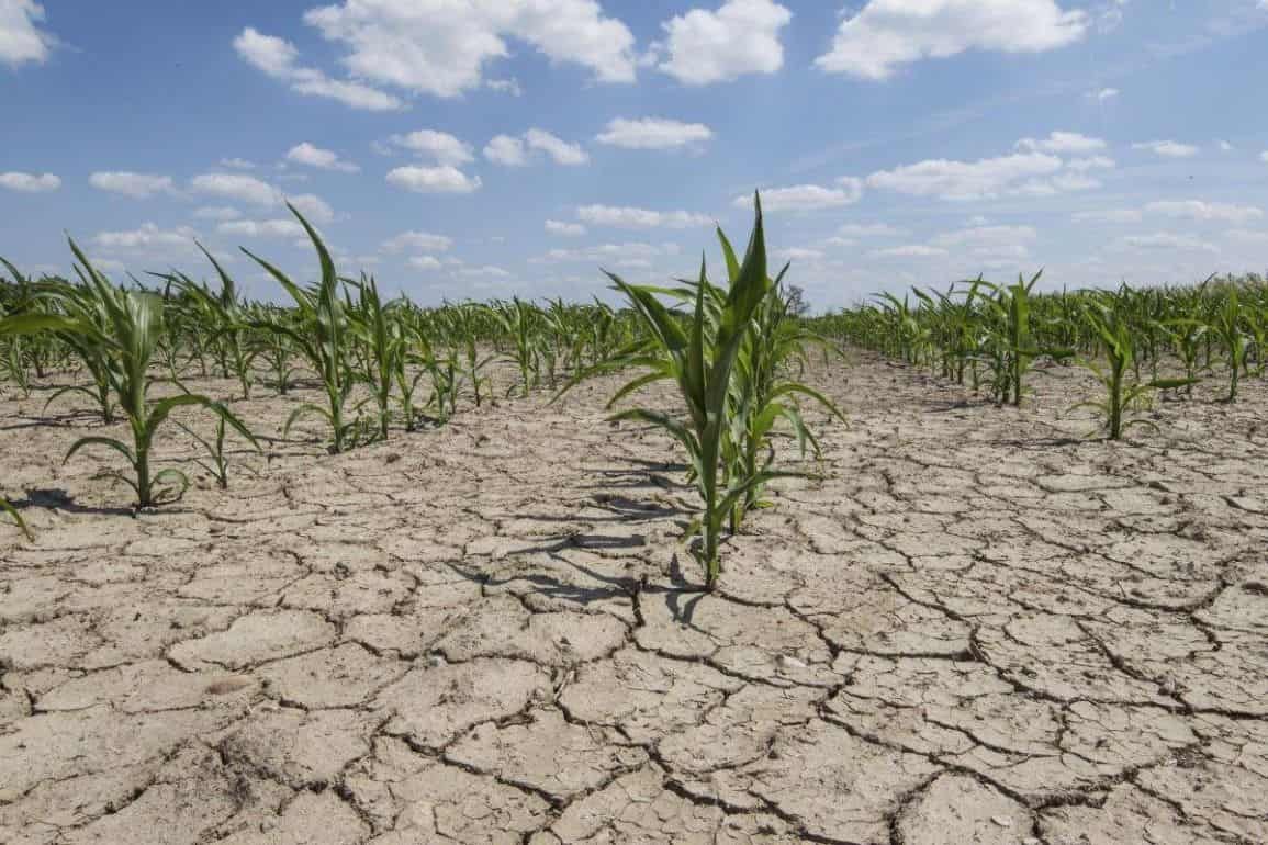 Франция собирается для фермеров ввести ограничения на воду  - agroexpert.md