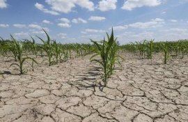 Франция собирается для фермеров ввести ограничения на воду  - agroexpert.md