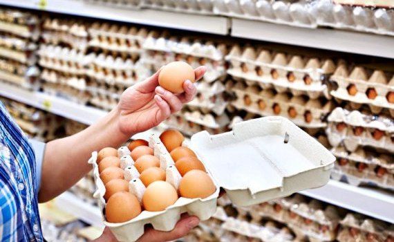 ouă contaminate - agroexpert.md