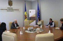 Всемирная продовольственная программа поможет Молдове в экспорте - agroexpert.md