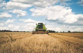 recoltă cereale România - AgroExpert.md