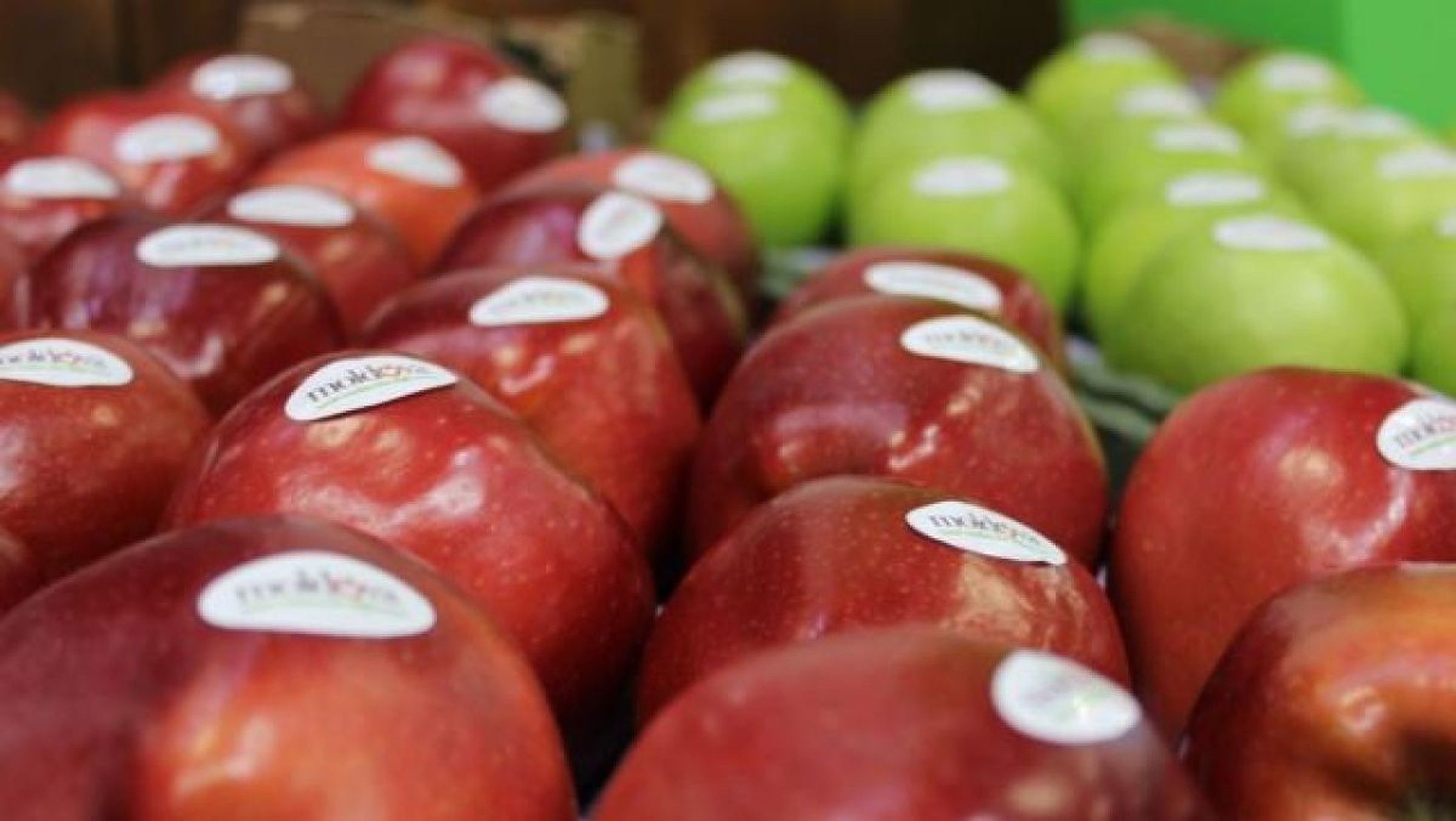 export fructe Moldova -AgroExpert.md