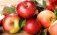 Узбекистан увеличил импорт яблока из Украины, Ирана и Польши - agroexpert.md   