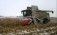 В Украине уборка кукурузы еще продолжается - agroexpert.md