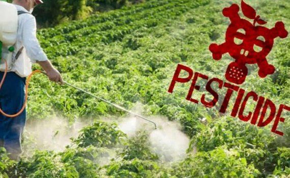 В Индии запретят три вида пестицидов - agroexpert.md