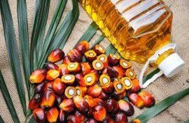 consum ulei de palmier - agroexpert.md