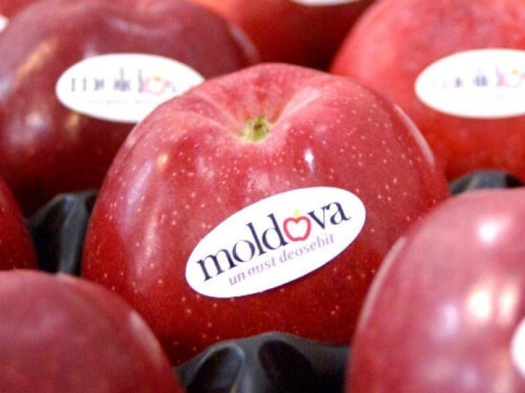 Февральские объемы экспорта молдавского яблока - agroexpert.md