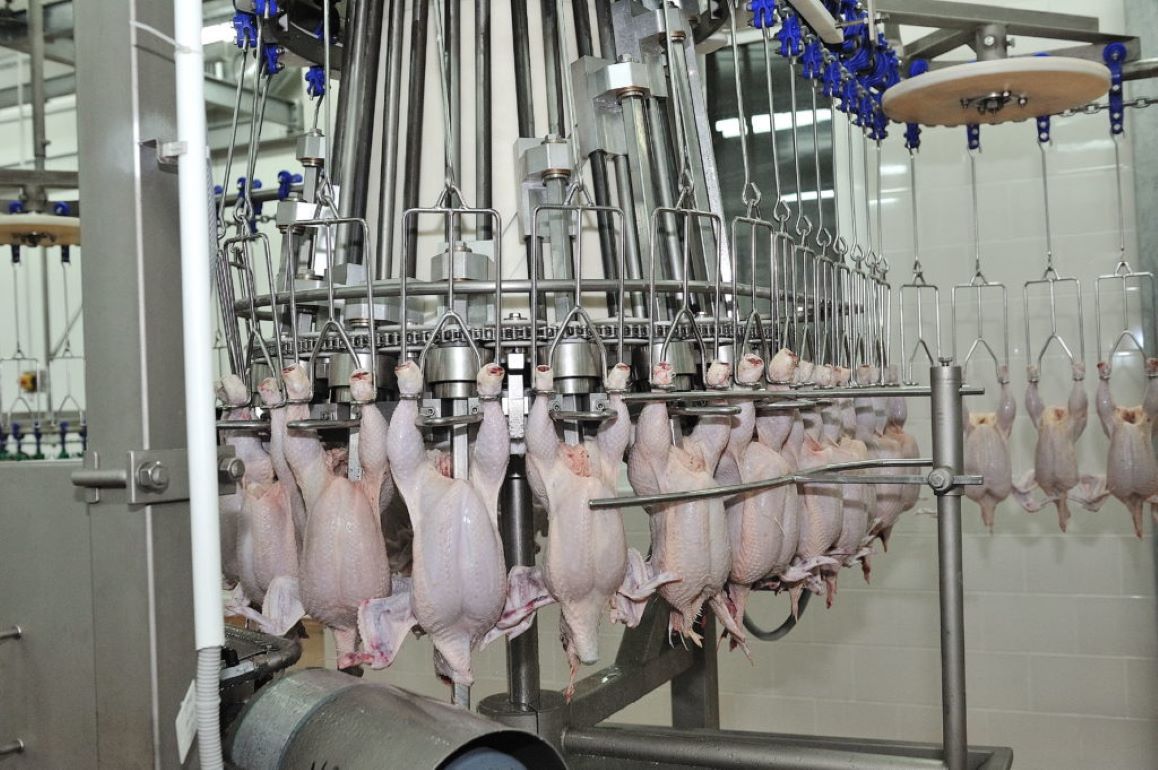 Российский  экспорт мяса птицы увеличился на 16% - agroexpert.md  