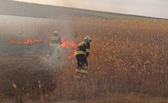 В Молдове от пожара пострадало более 70 га - agroexpert.md