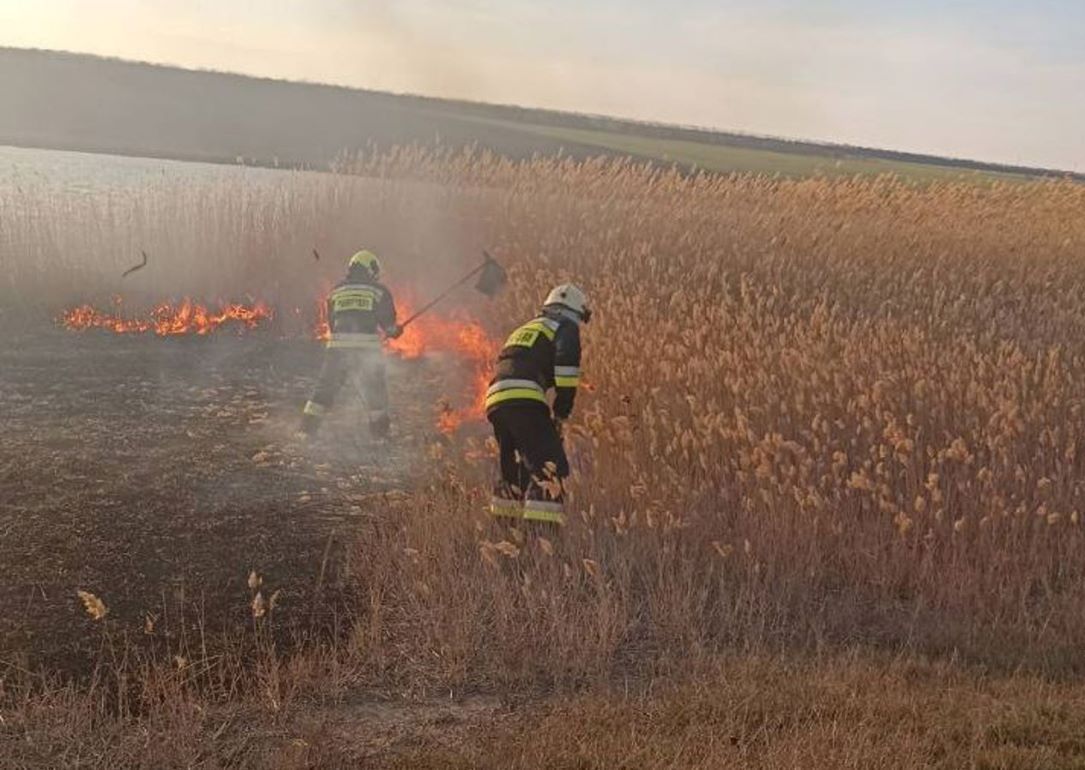В Молдове от пожара пострадало более 70 га - agroexpert.md