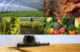 Украина открывает 27 новых рынков для агропродукции - agroexpert.md