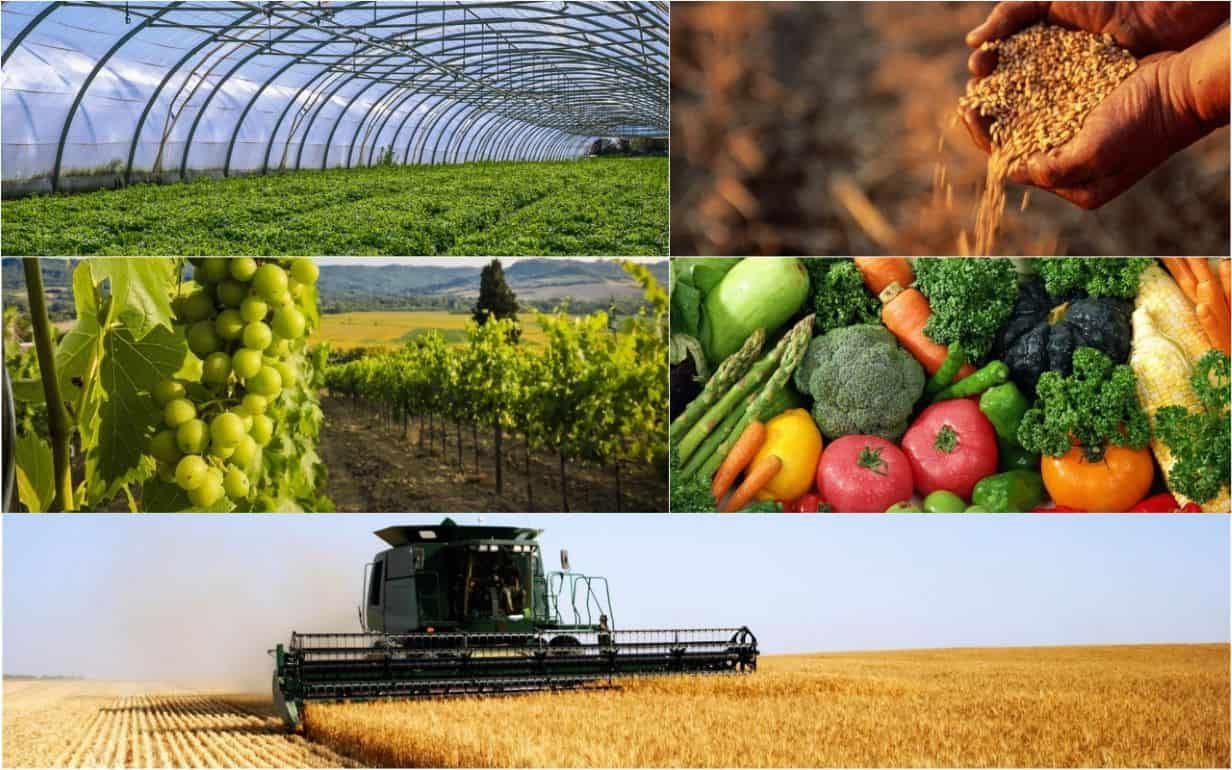 Украина открывает 27 новых рынков для агропродукции - agroexpert.md