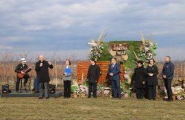 vinuri ecologice - agroexpert.md
