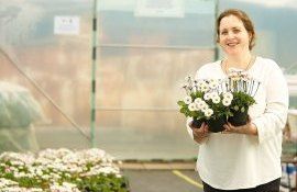 afacere cu flori - agroexpert.md