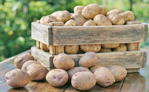 Динамика цен картофеля в Молдове - agroexpert.md  