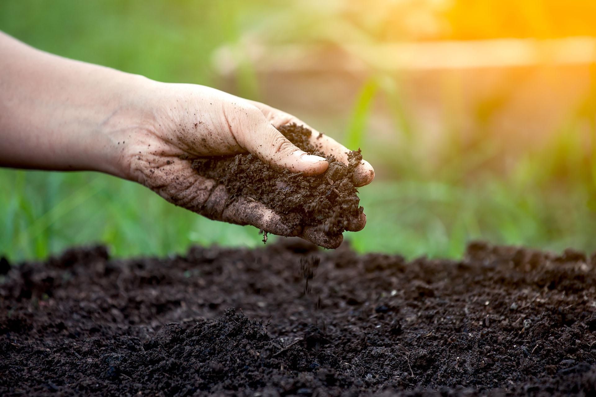 subvenții fermieri bani - AgroExpert.md