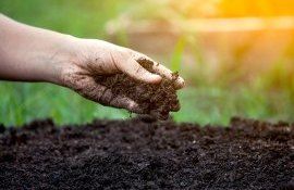subvenții fermieri bani - AgroExpert.md