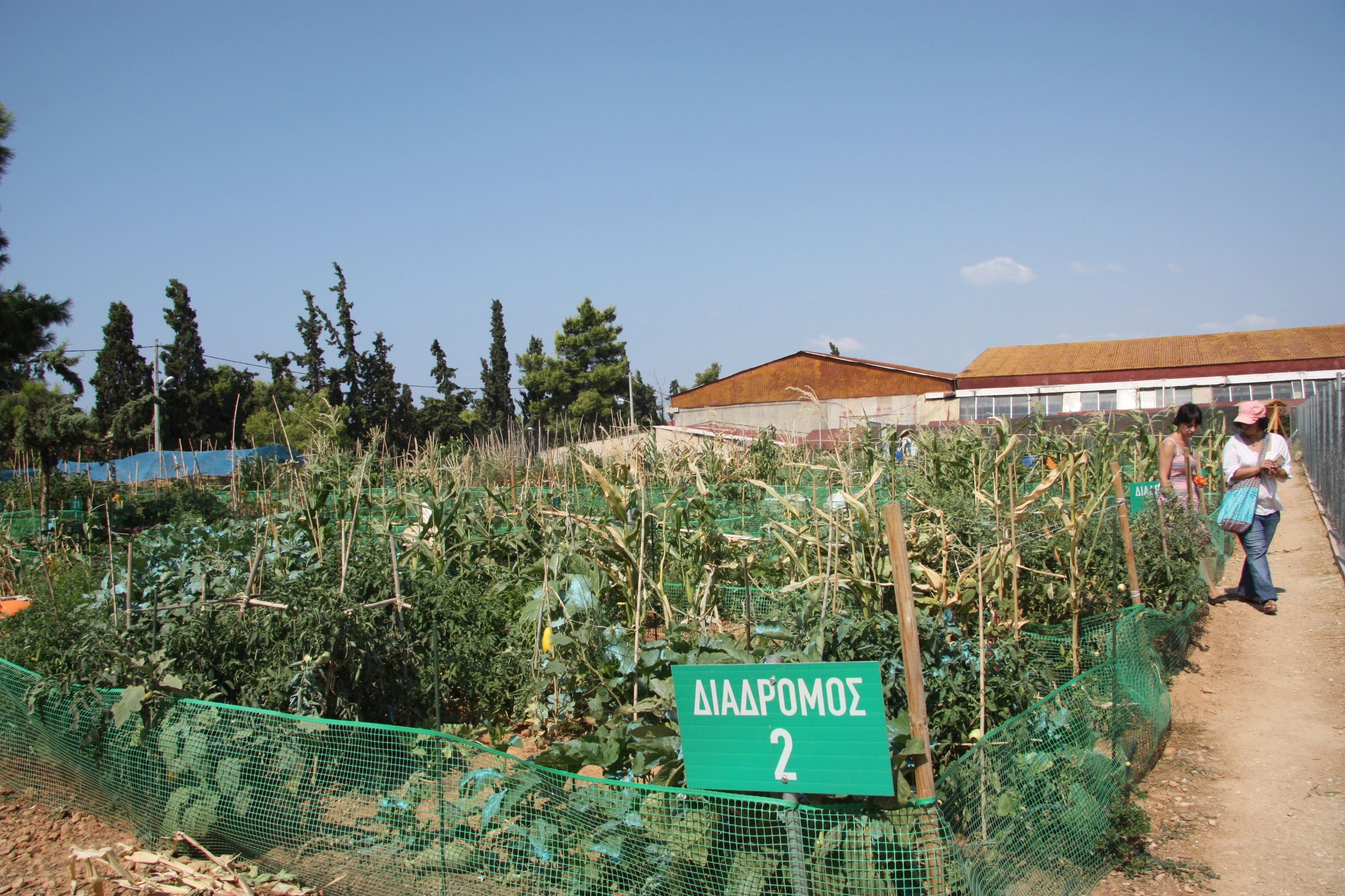 grecia agricultură ecoomie - AgroExpert.md