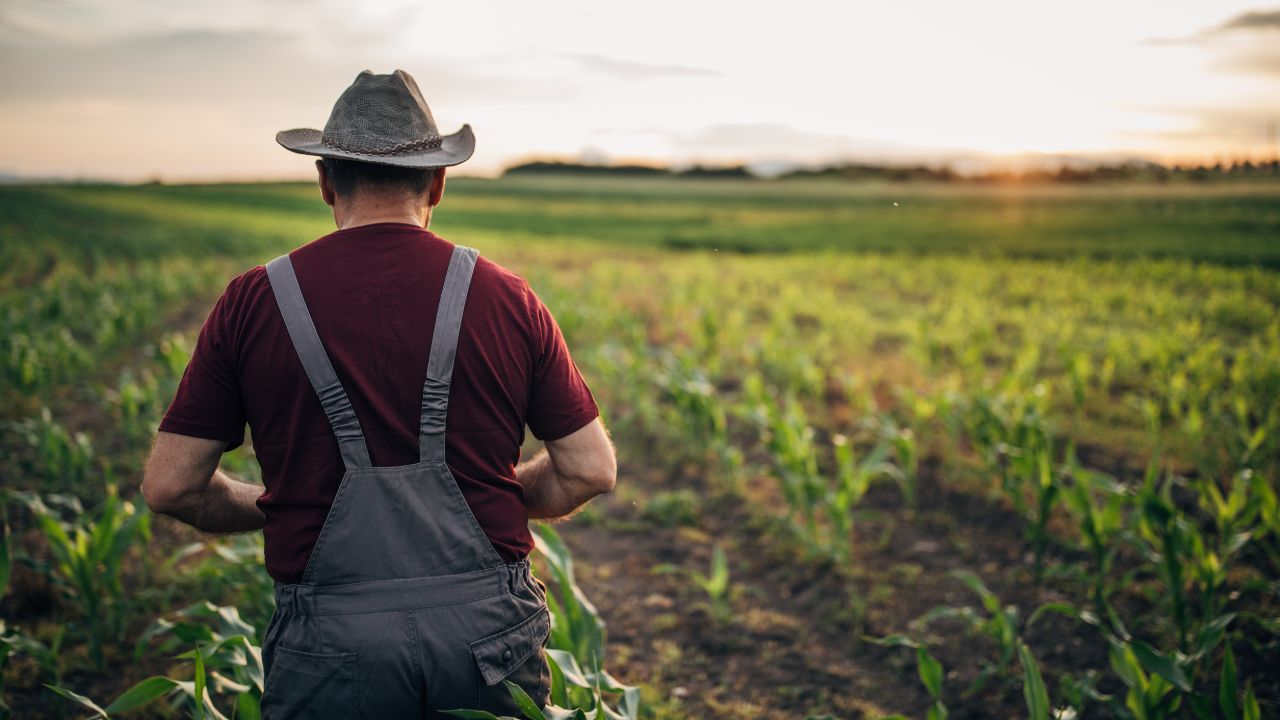 fermier pierderi România - agroExpert.md