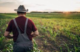 fermier pierderi România - agroExpert.md