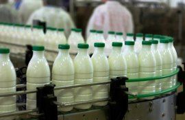 fabrică lapte Cahul - AgroExpert.md