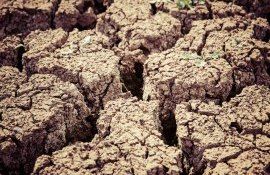 Весенняя засуха в Молдове - agroexpert.md