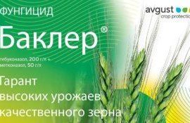 Баклер — Гарант высоких урожаев качественного зерна - agroexpert.md