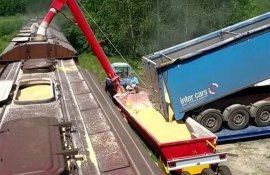 Залог за транзит украинского зерна предлагают в Польше - agroexpert.md  