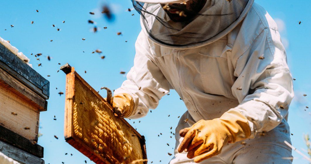 apicultori - agroexpert.md