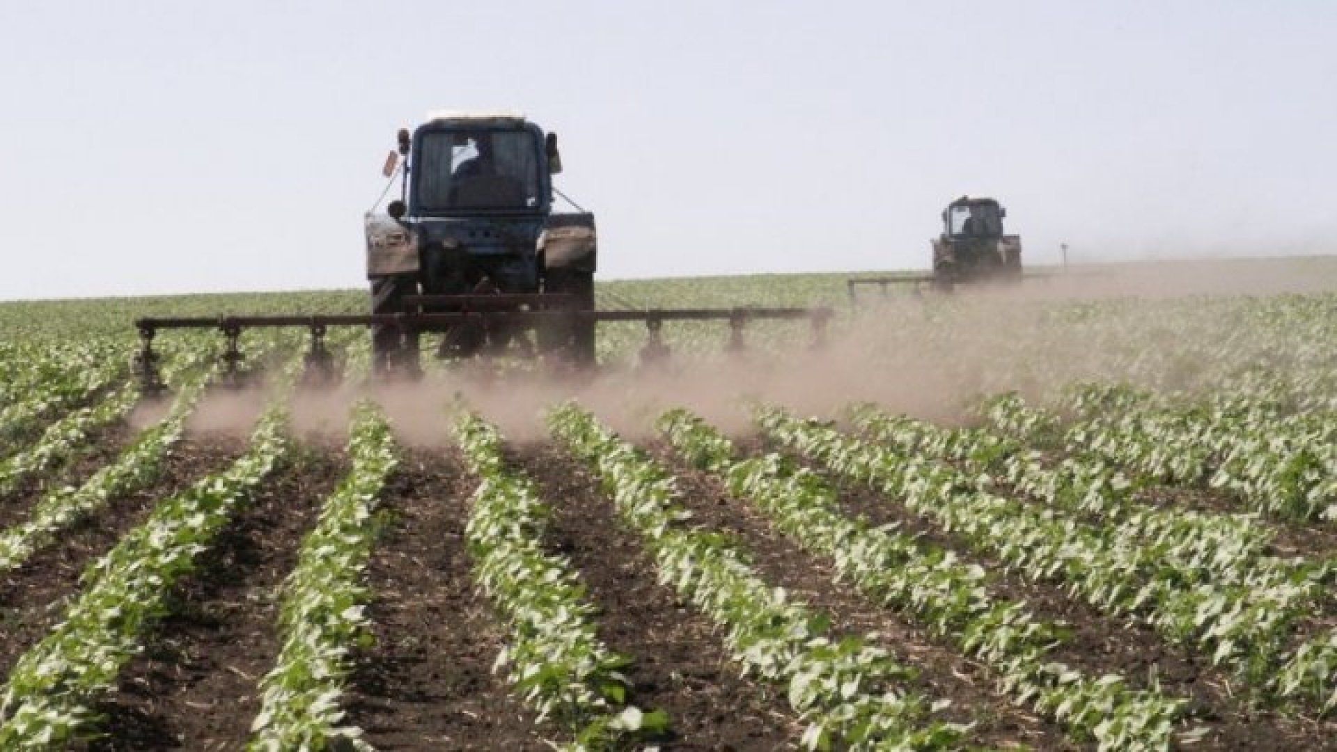 subvenții agricultură fermieri - AgroExpert.md