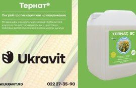 Новая разработка UKRAVIT гербицид Тернат - agroexpert.md