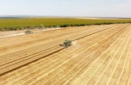cereale România fermieri - AgroExpert.md