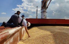cereale Ucraina Ecipt - AgroExpert.md