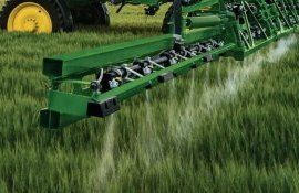 Как подкормить озимую пшеницу для улучшения качества зерна - agroexpert.md