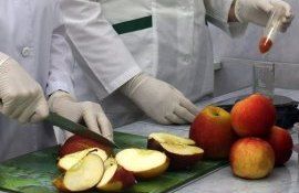 Магнитная вода смывает с фруктов и овощей любые пестициды - agroexpert.md