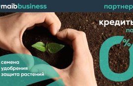Maib - с процентной ставкой 0% - agroexpert.md