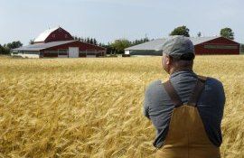 Евросоюз поддержит своих фермеров из-за Украины - agroexpert.md