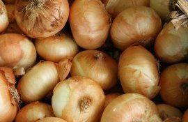 ceapă prețuri export - AgroExpert.md