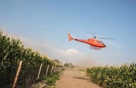 KWS используют вертолёты для испытаний кукурузы на полегание - agroexpert.md