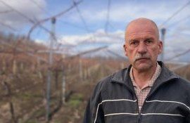 Sergiu Tutovan: Plantațiile de viță-de-vie au trecut cu bine peste perioada de iarnă