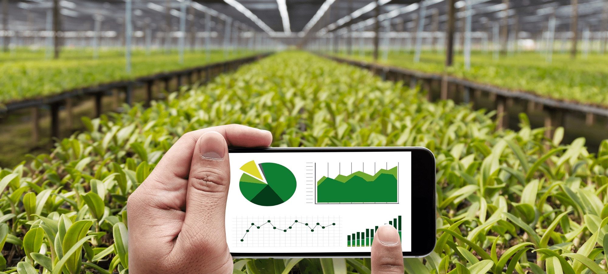 marketing fermieri productie - AgroExpert.md
