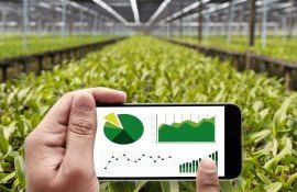 marketing fermieri productie - AgroExpert.md