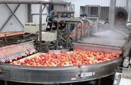 procesare fermieri agricultura - AgroExpert.md