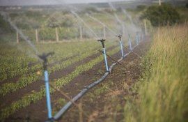 irigare, apă - agroexpert.md