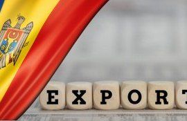 export - agroexpert.md