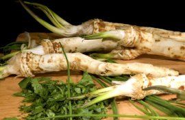 hrean Ungaria producție - AgroExpert.md